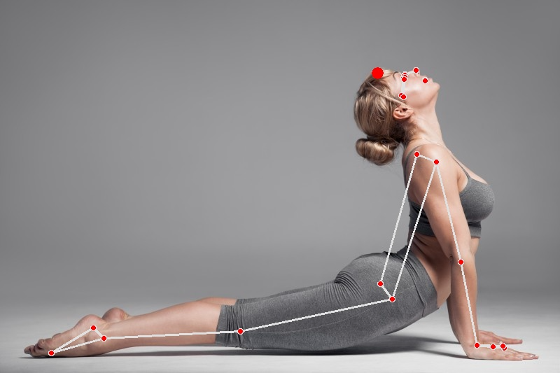 Computer Vision Pose Estimation